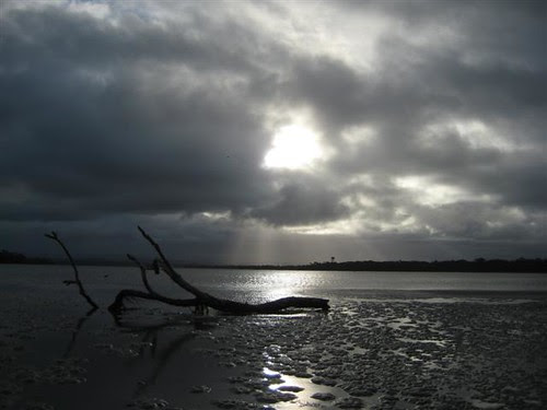 Tassie trip July 2011 3194 (Small)