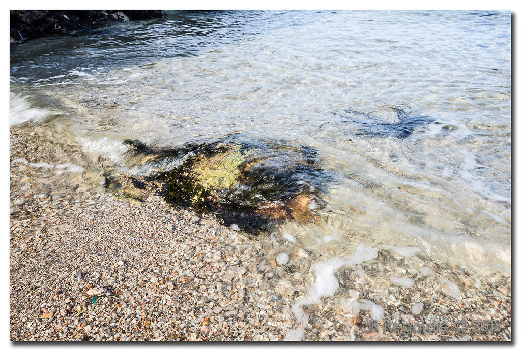 Roca y algas by JR Regaldie Photo