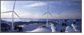 Low Wind Turbines on the Rise