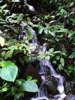 left click for larger picture