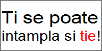 NU! furtului intelectual