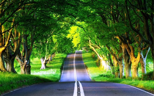 Gambar DP BBM Tahun Baru Kata Bijak Harapan Awal Bulan 