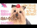 [ベスト] ぬいぐるみ ペット 256583-ぬいぐるみ ペット