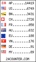 visitors by country counter