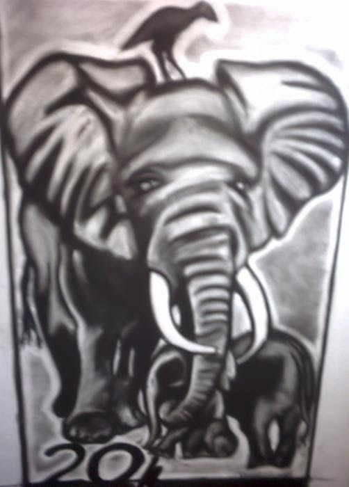 black and white elephant pictures