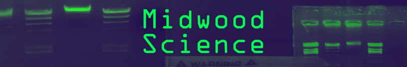 The Home of Midwood Science Research Check the Calendar Posted on Friday,December 14,2018, by Elert