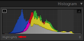 14 7 Photography Tips For Beginners by Prathap Photography Nature Phootography Simplified