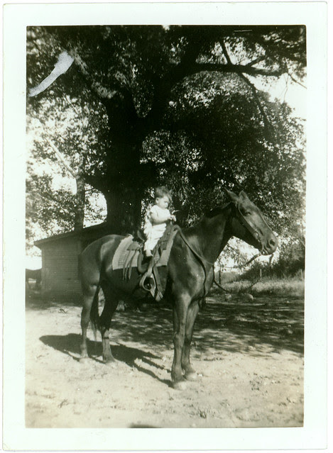 baby on horse
