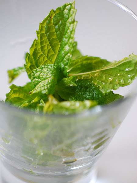 mint leaves
