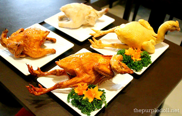 Size comparison of normal chicken and yellow chicken