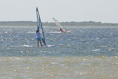 Dana Sails