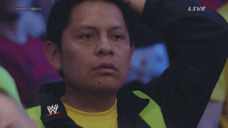 Brock Lesnar Ends Undertaker Wrestlemania Streak Fan Reaction GIF
