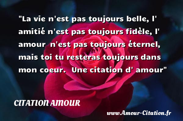 Image De Citation Citation Vie Pas Facile