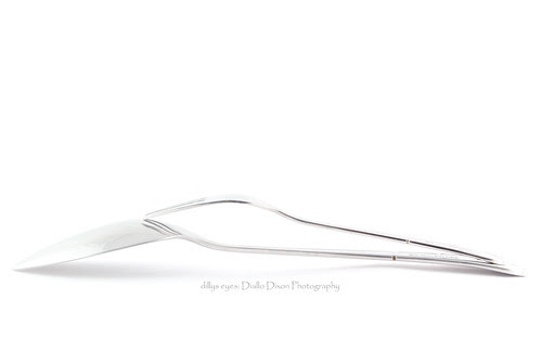 Spooning and Forking by sirpannist