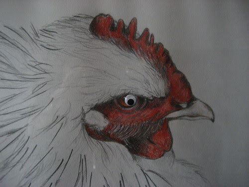 Eye bombed portrait of my chicken