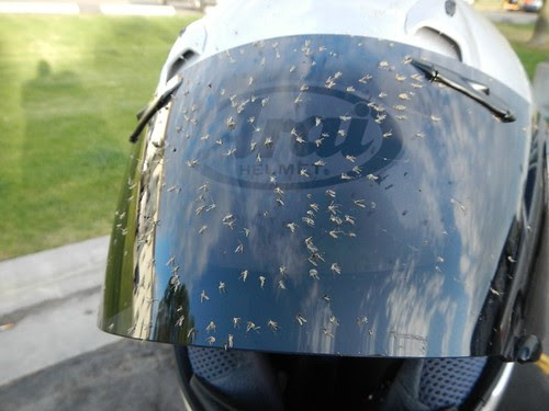 Day 2 - Bismarck to Billings