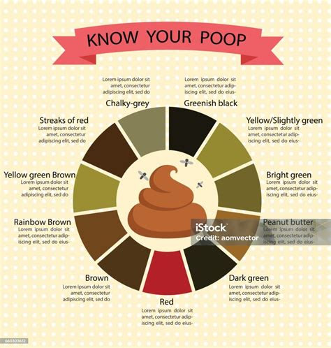  poop stool color changes color chart and meaning healthy concept stock