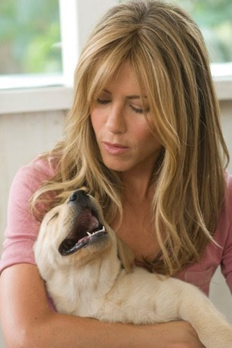 marley and me dvd. Marley and Me: DVD Review
