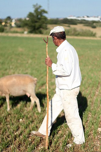 fashion & countryside