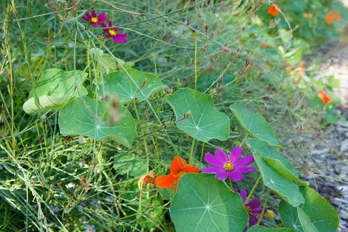 DSC04964 - Version 2