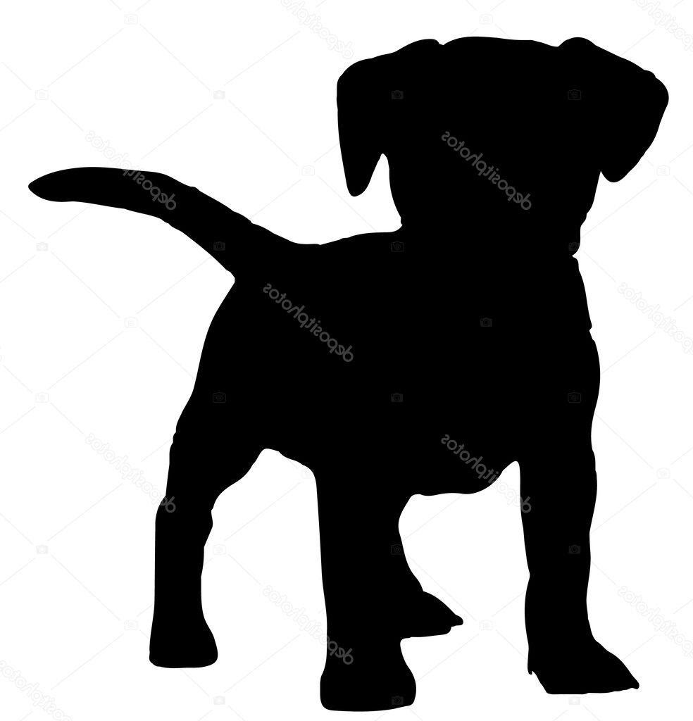 Download Pug Silhouette Vector at GetDrawings | Free download