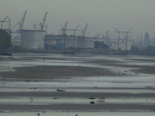 BA 9 - Petrochemical Pole Dock Sud Avellaneda