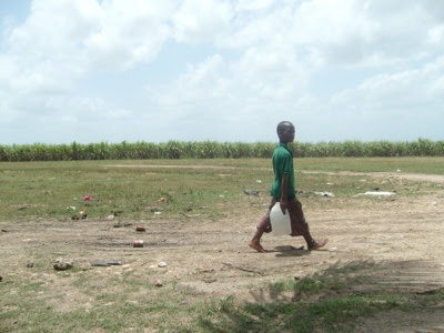 20120726-080040.jpg