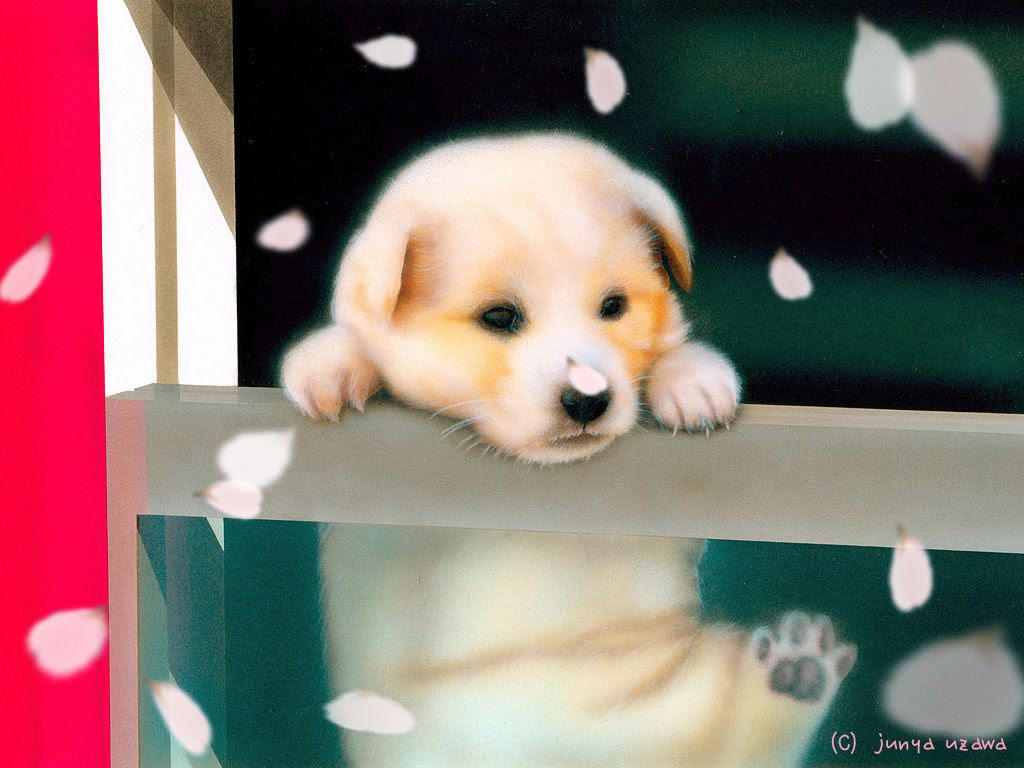 本日のデスクトップピクチャ 壁紙 Junya Blog 猫 犬 リアリズム絵画