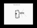 Labeled Diagram Of Root Hair Cell