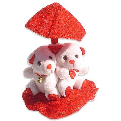 female cute teddy comments