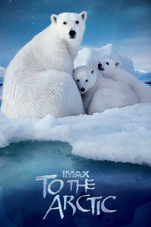 Assistir To the Arctic 2012 Dublado Filme Blueray Completo Online 4K HD