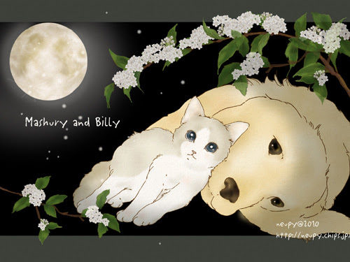 猫絵描きneupyの花のイラストと 銀魂 ヘタレらく描き ﾗｽﾄﾆｬﾝｽﾞｽﾀﾝﾃﾞｨﾝｸﾞ
