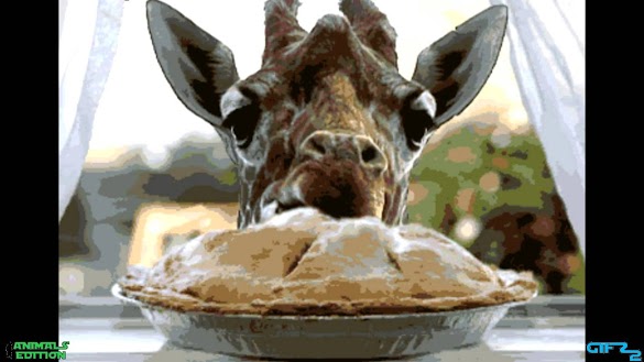 Gifs - Avatar Gifs / Similar to how a flipbook works, gifs rapidly display a series of images to produce the illusion of motion.