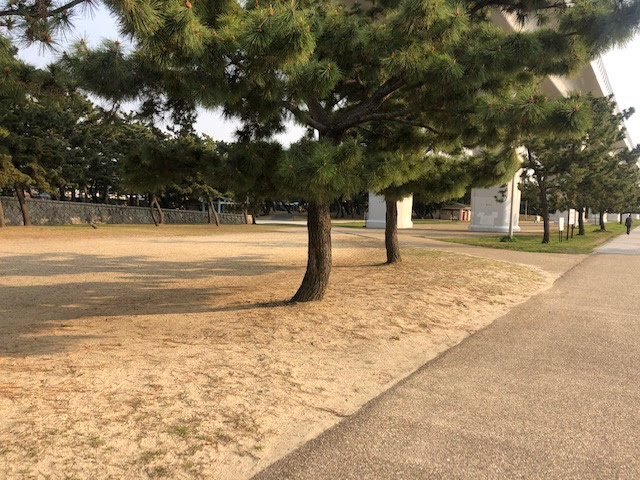 二色の浜公園無料バーベキュースポット 沢地区 大阪府貝塚市 バーベキュー 大阪 手ぶらバーベキューや器材レンタルなら 代行バーベキュースマート