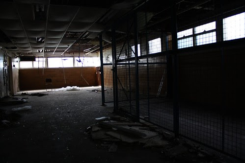 the cage