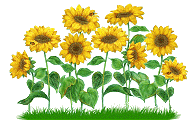 https://plus.google.com/photos/112638599170273450701/albums/6130885963745624497?authkey=CNvyntnl8o2UsgE