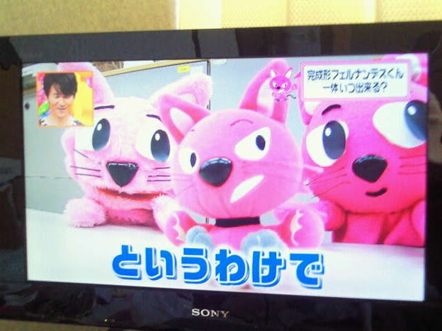 完成形フェルナンデスくん意地悪そうで可愛くない T T １号と２ 写真共有サイト フォト蔵