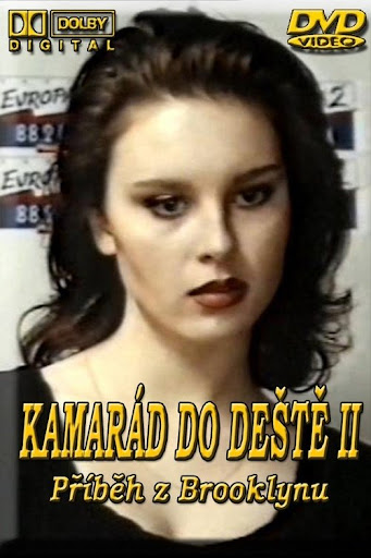 Kép
