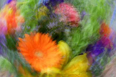 Abstract Flowers