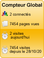 Compteur Global gratuit sans inscription