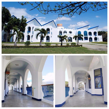 ▲▼ 。(圖/記者ShareLife 分享生活攝)