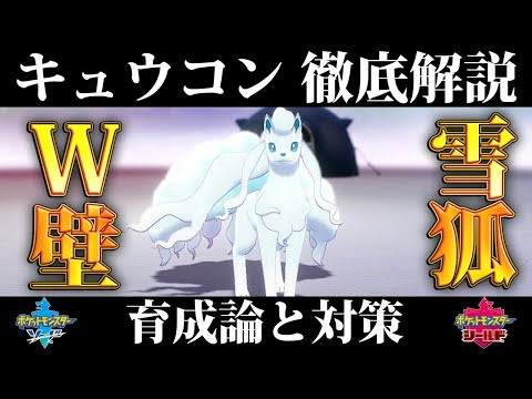 キュウコン 育成
