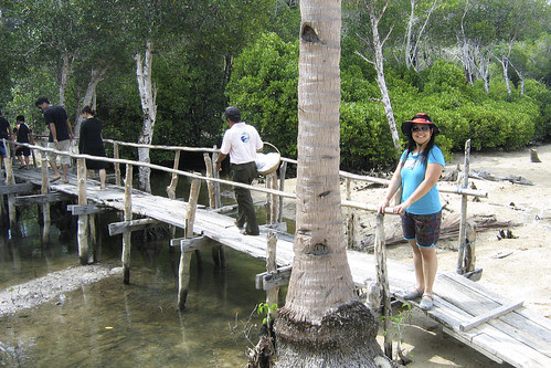 Bridge to Safari