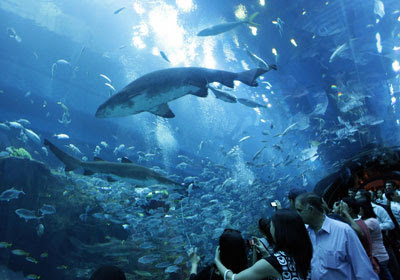 World Fashion Malls on The World S 10 Largest Shopping Malls   Dubai Mall   Forbes Com