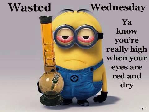 Wednesday Minion Quotes. QuotesGram
