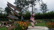 Terpopuler 62+ Taman Bunga Dieng Wonosobo