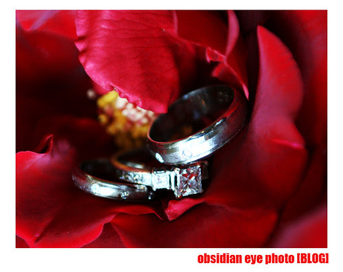 The Rings!