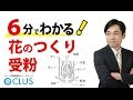 選択した画像 中1 理科 花��つくり 680898-中1 理科 花のつくり ノート