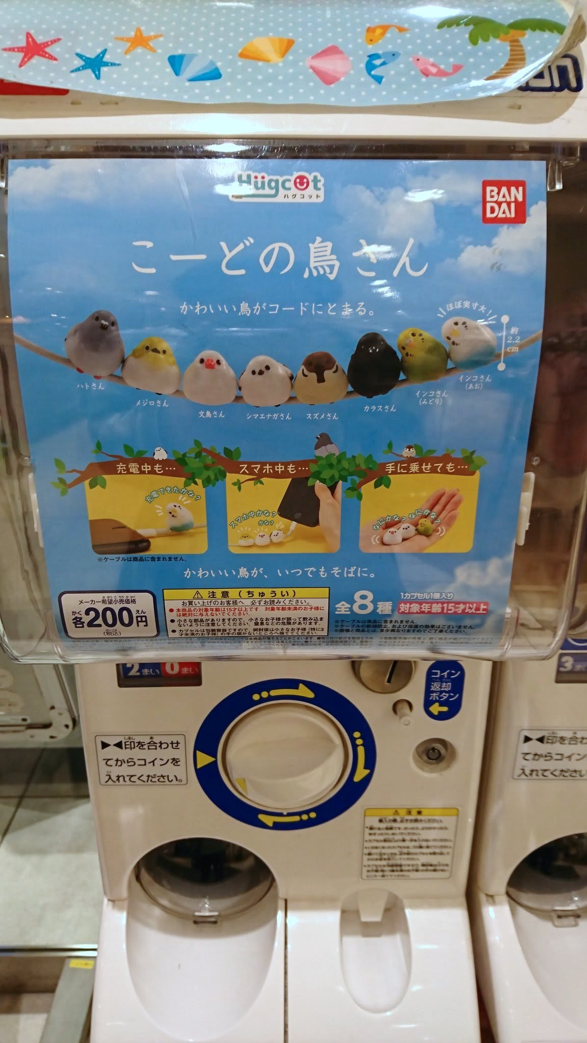 ガチャガチャ こーどの鳥さん が可愛いと話題に Netgeek