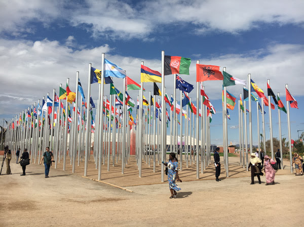 米国 メキシコ ドイツ カナダが温室効果ガス低排出型発展のための長期戦略を提出 Unfccc Copへの参画 国立環境研究所